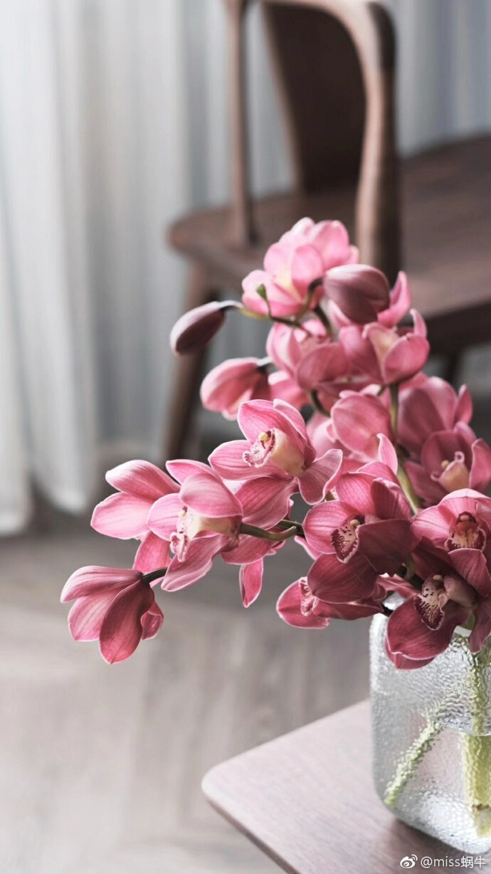 江西心理咨询|宽恕的力量(下)