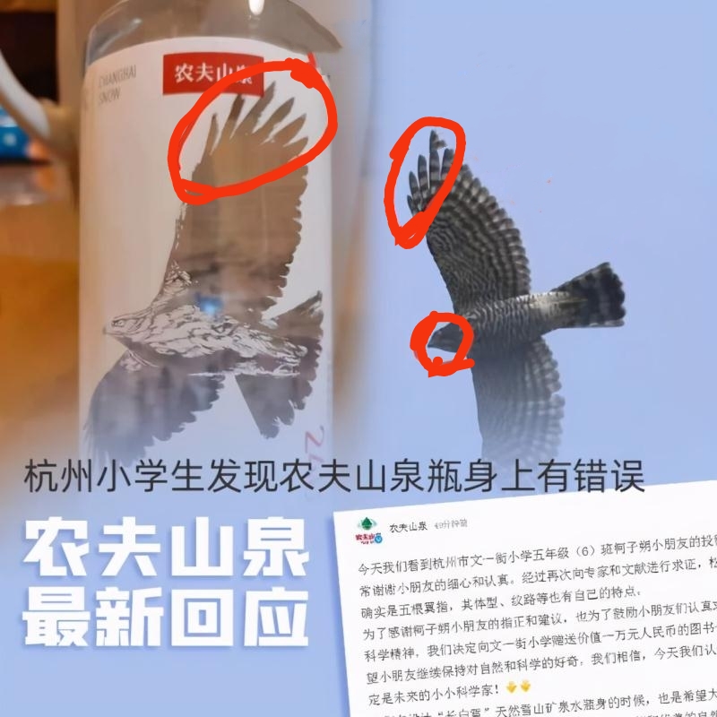 小学生发现农夫山泉瓶身错印"松雀鹰",专家支持:孩子对了!