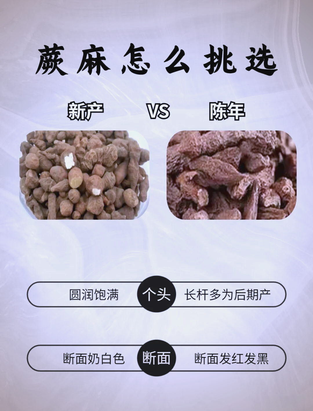 探索中药之美:蕨麻