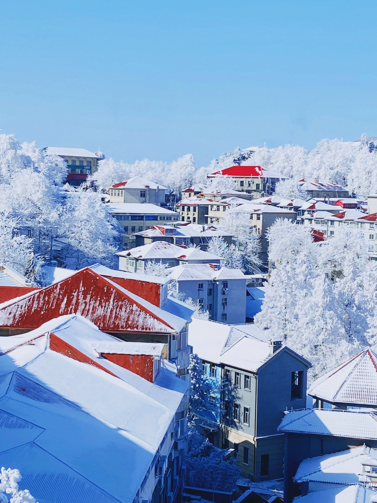 庐山雪景,是媲美北方雪景的存在;寒潮到来,南方人的平替版东北已在