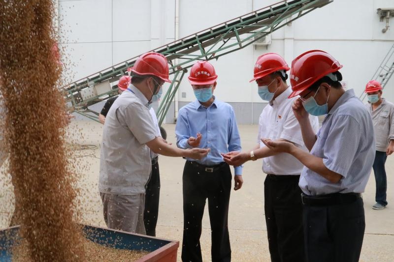 万士其局长赴阜阳市督导调研政策性粮油库存检查和夏粮收购工作