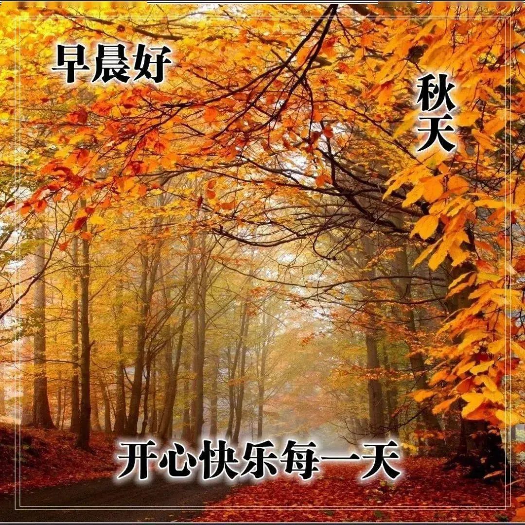 秋日早上好问候语,秋天祝福图片早晨好