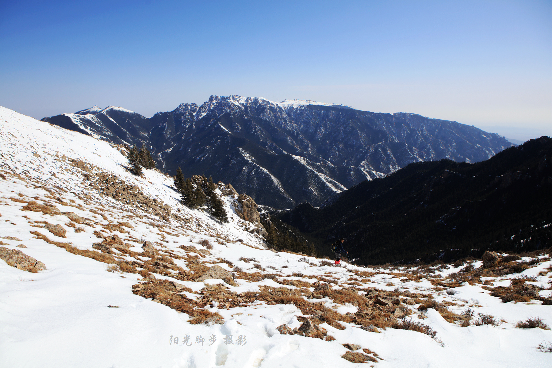 賀蘭晴雪——賀蘭山雪松與巴峰