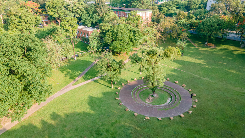 华南农业大学学生坠楼图片