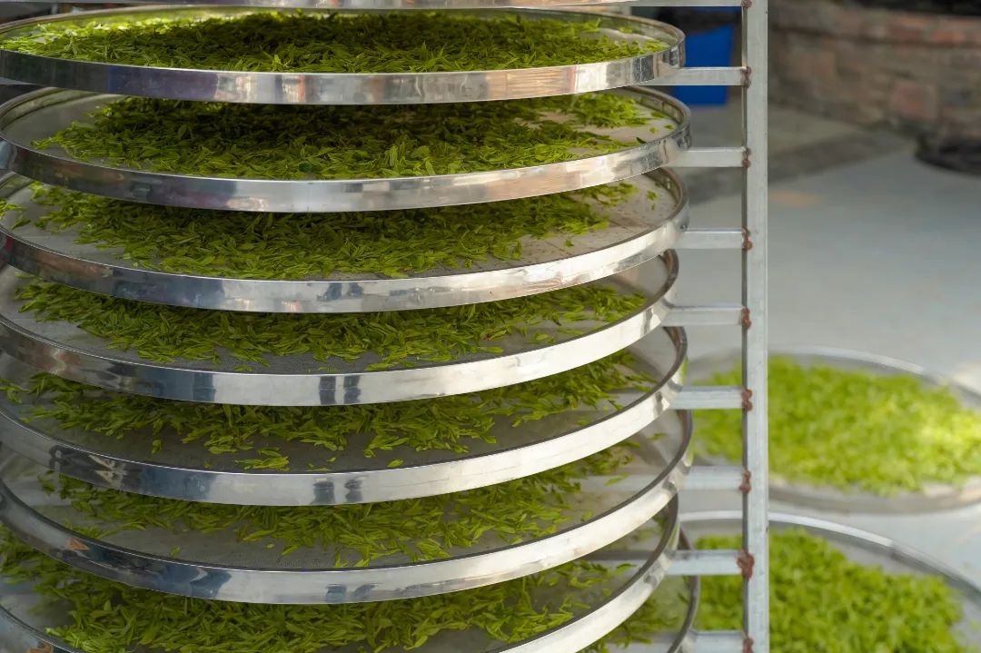 来自西湖龙井核心产区满觉陇白鹤峰明前茶买一送一特惠来了