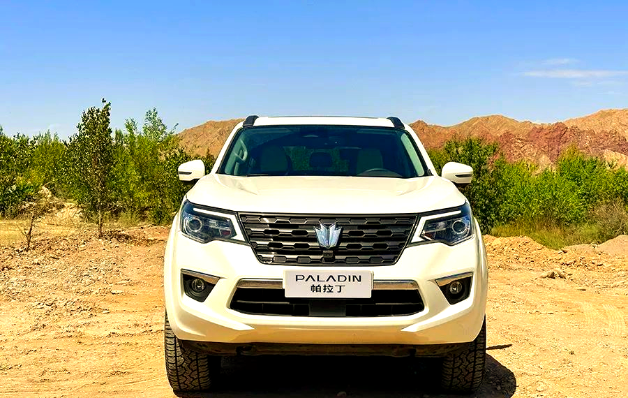 购买帕拉丁十大忠告为什么在线 购买帕拉丁十大忠告为什么在线