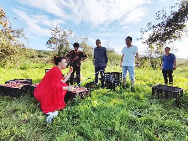 潞城区:韩家园村的"致富果" 振兴路上的新角色