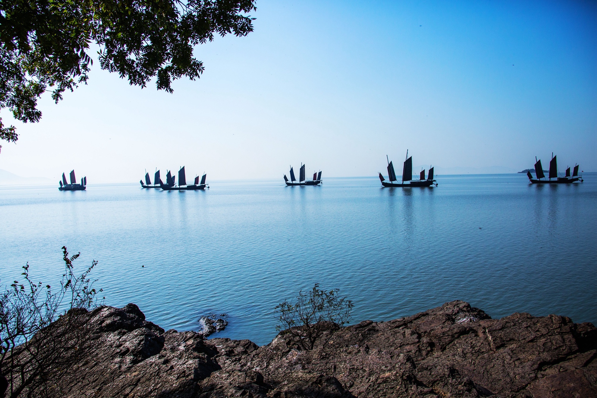 美丽江苏·每日一景丨无锡鼋头渚:冬日寻趣 绰绰帆影