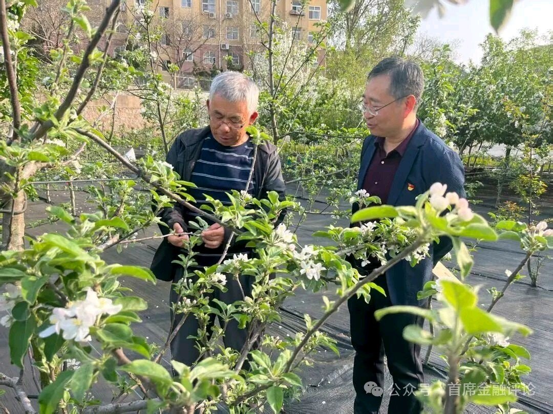 聚焦新质生产力！开放日解锁青岛农业科技创新“密钥” - 图2
