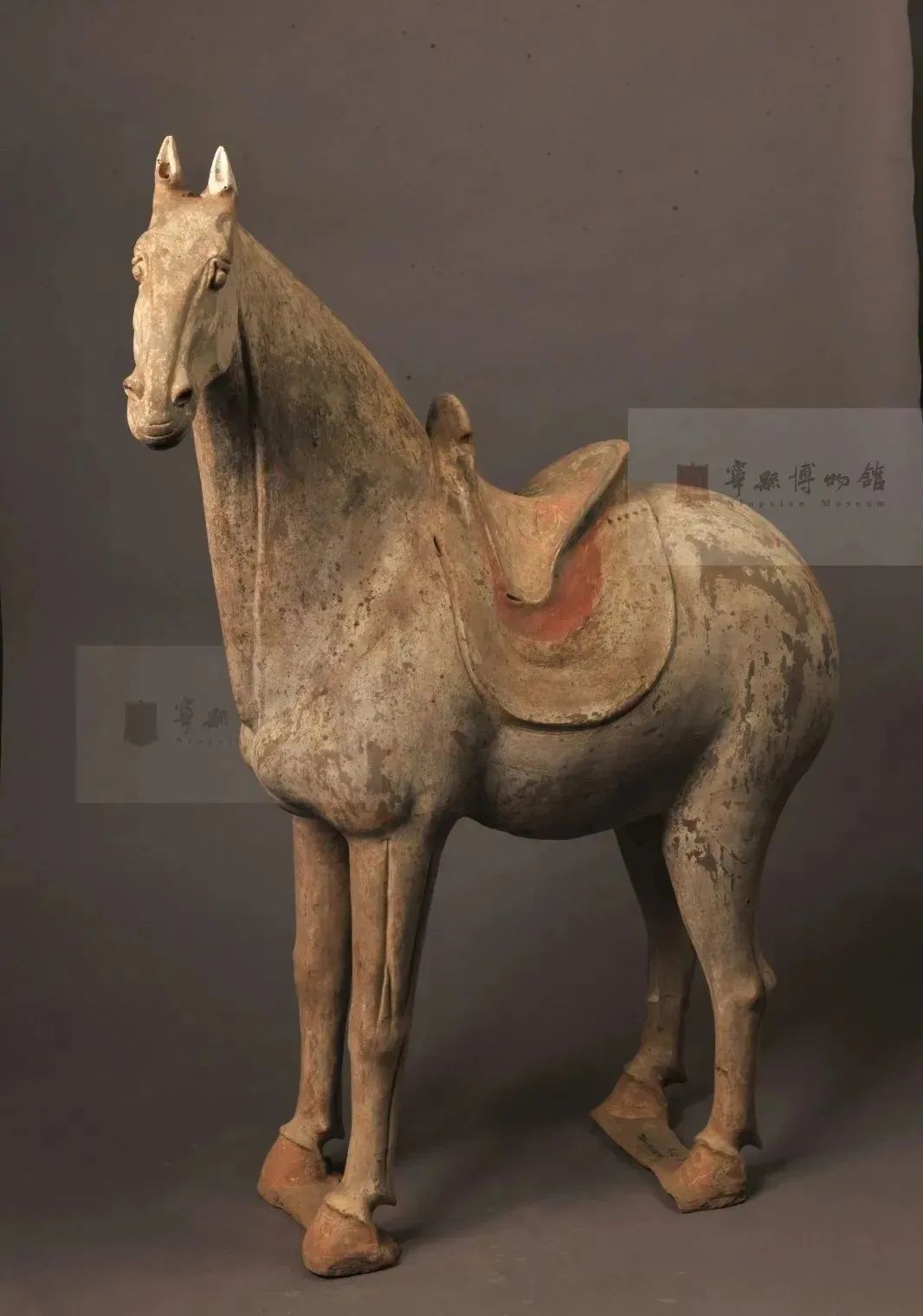 宁县博物馆精美文物唐彩绘陶马俑