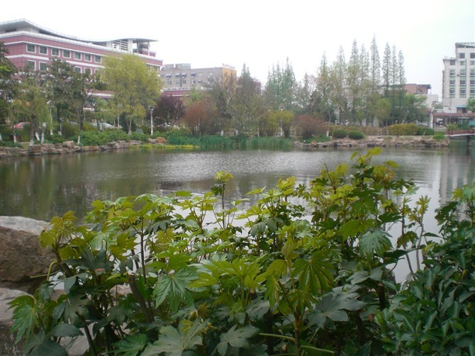 南通城市风景(濠河,中央公园,南通大学)