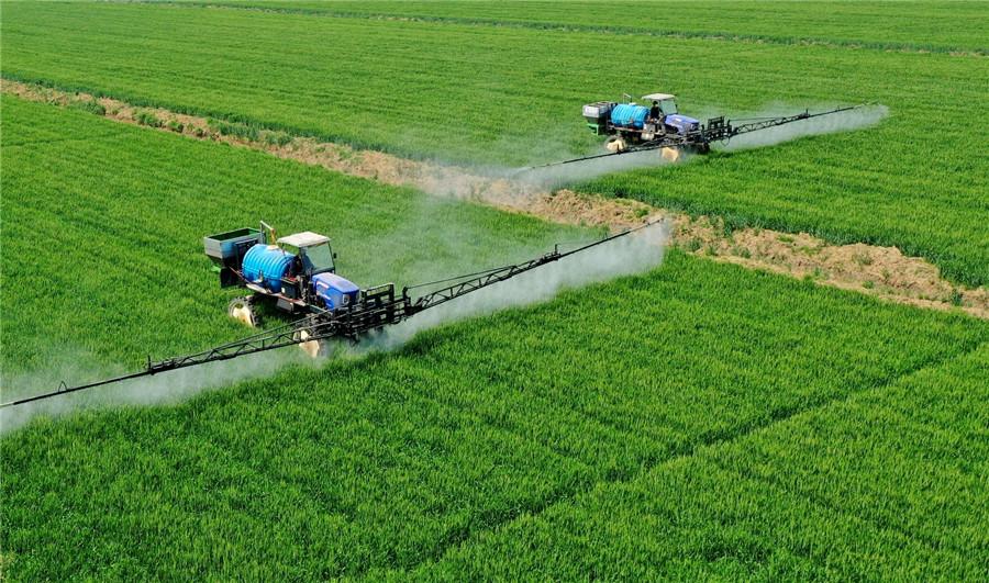 安徽农垦龙亢农场:"一喷三防"保丰收