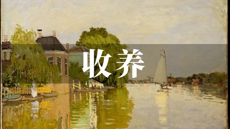 聊民法典136:与《收养法》对照:收养对象放宽,收养人条件更严