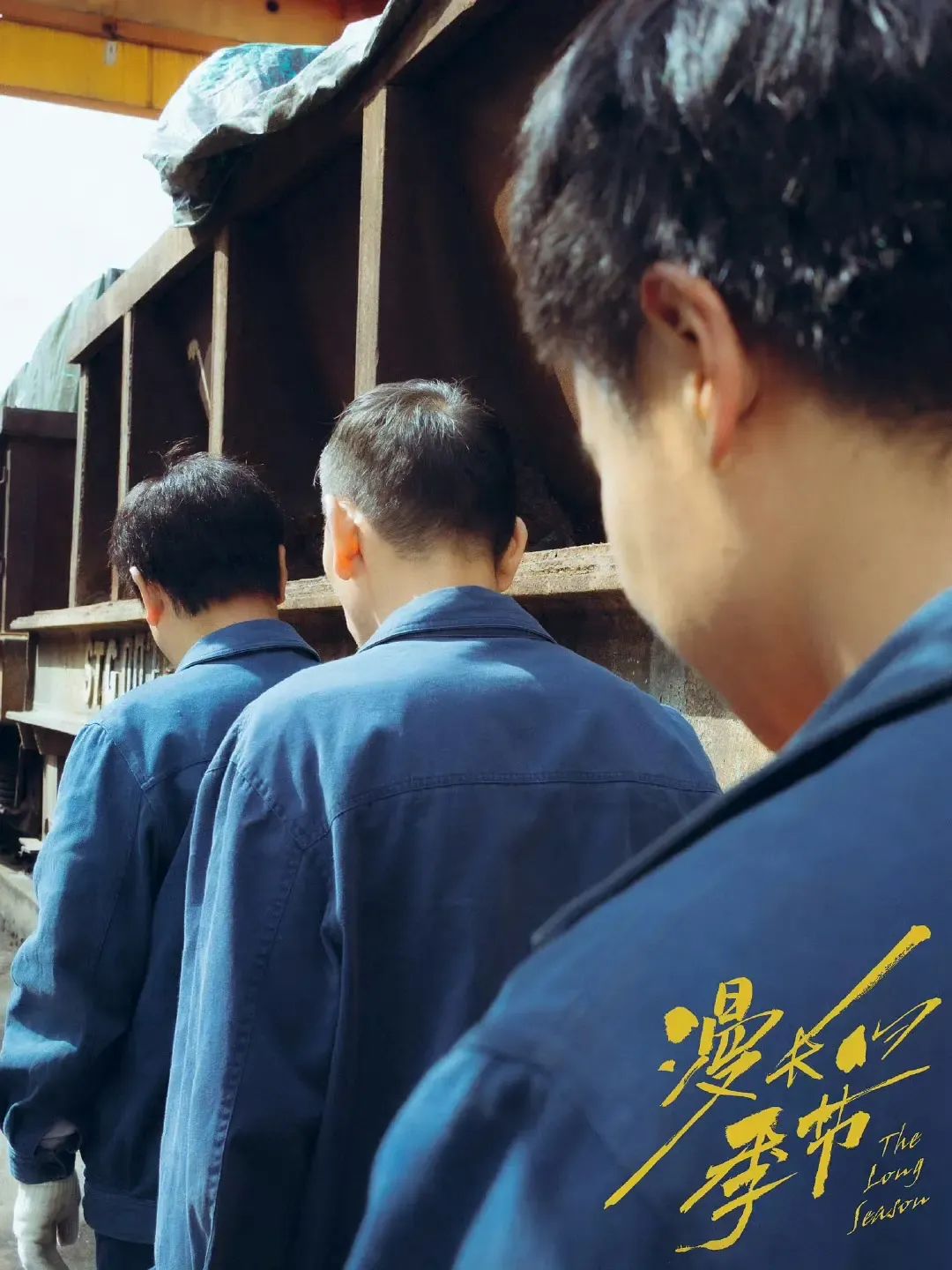 艺评丨陈天佑:深秋的琥珀——评《漫长的季节》