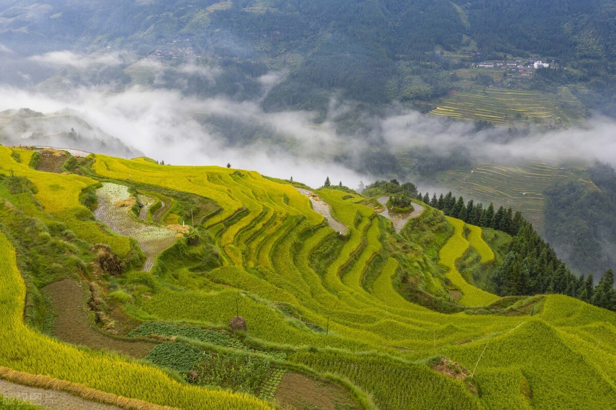 贵州从江云裳梯田"丰"景如画