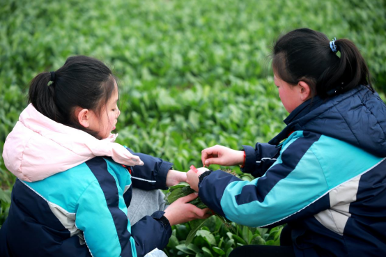 泗阳县实验小学图片