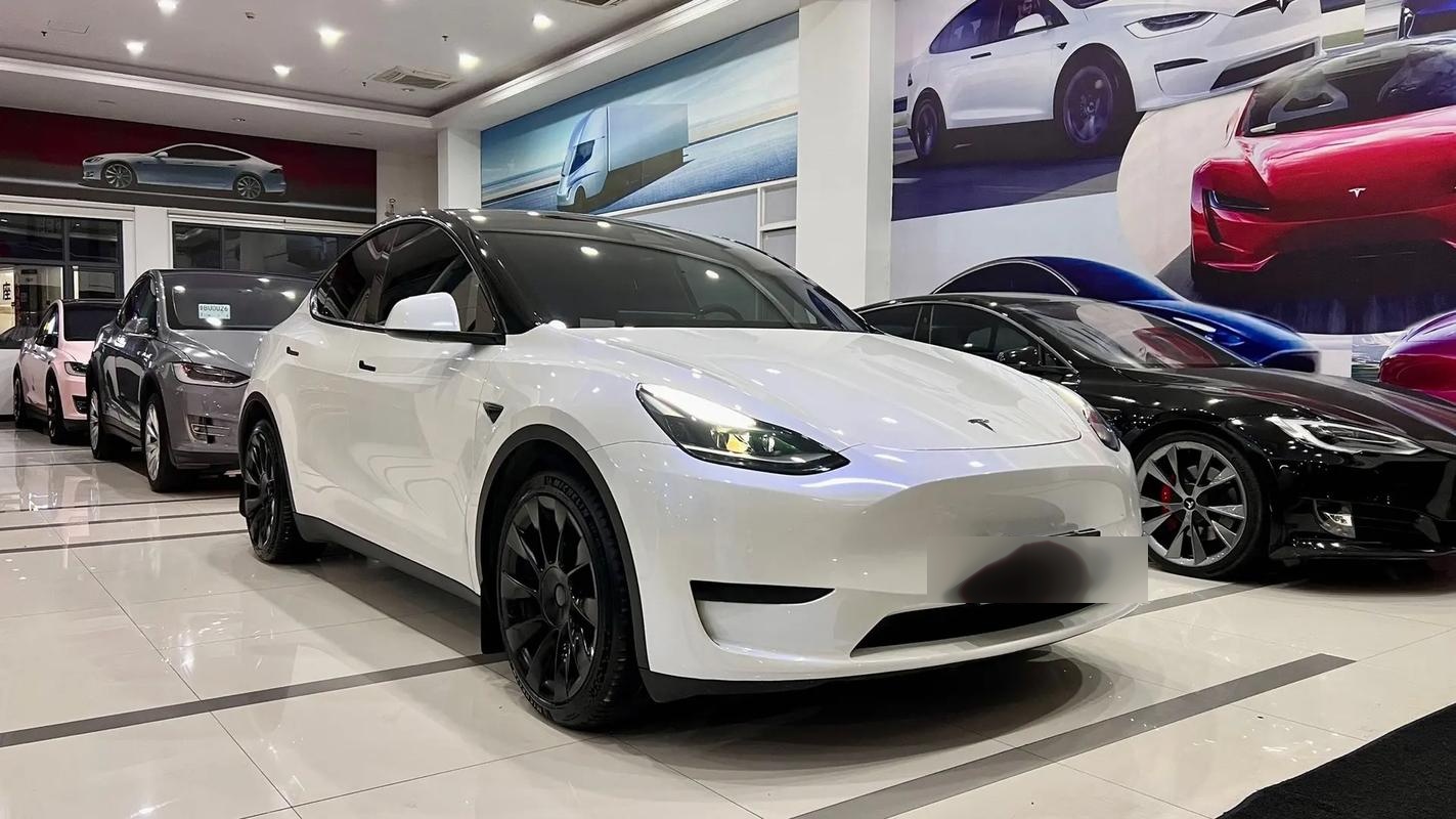 特斯拉modely车顶贴膜尺寸