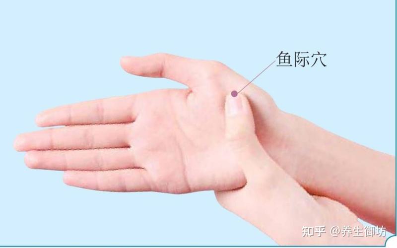 一个调理脾胃的方法