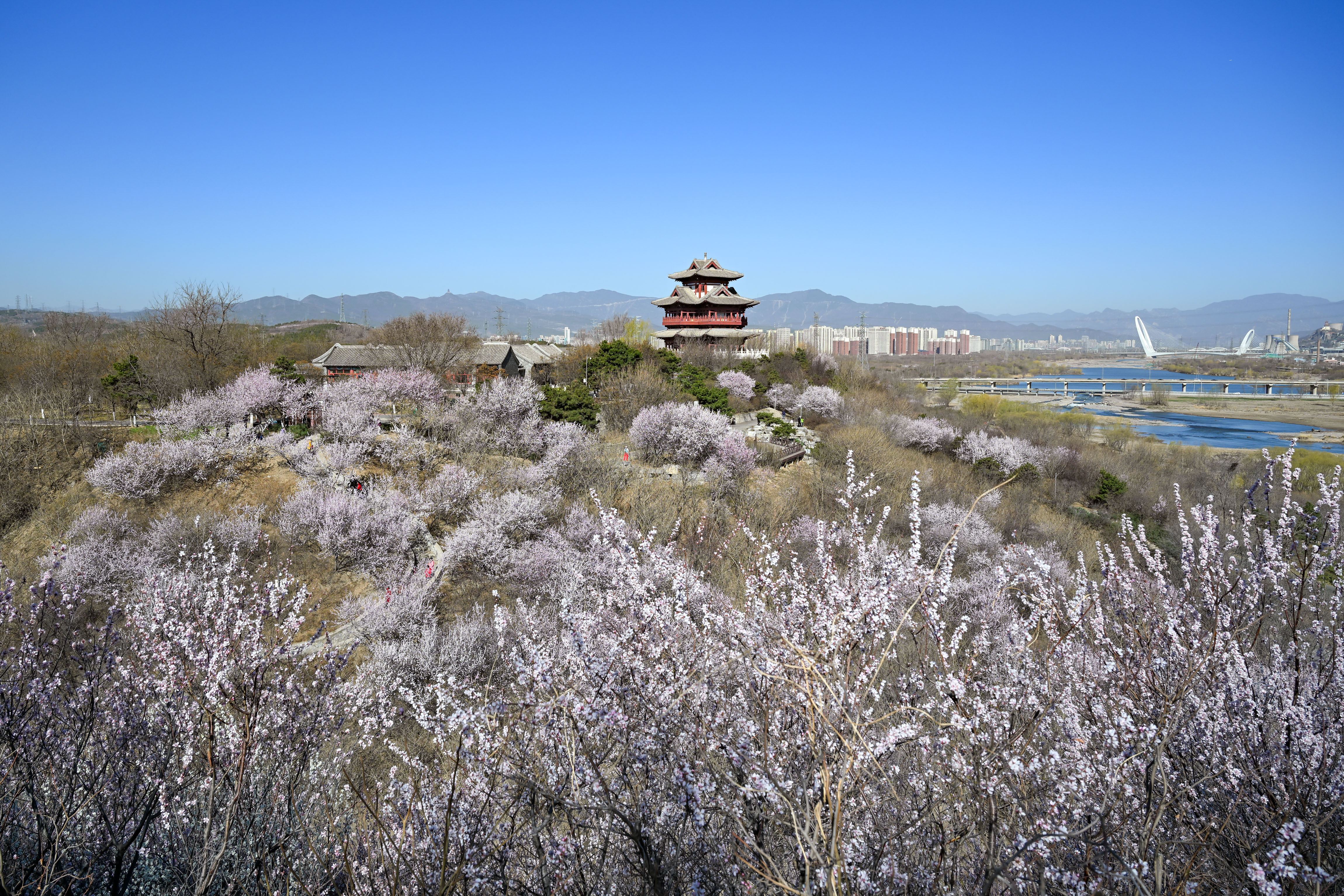 北京圆博园图片