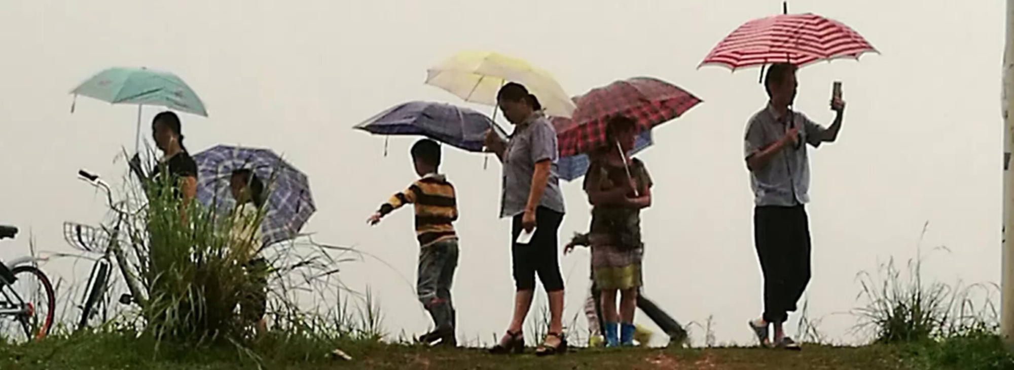 美图丨谭应林:陌上看雨