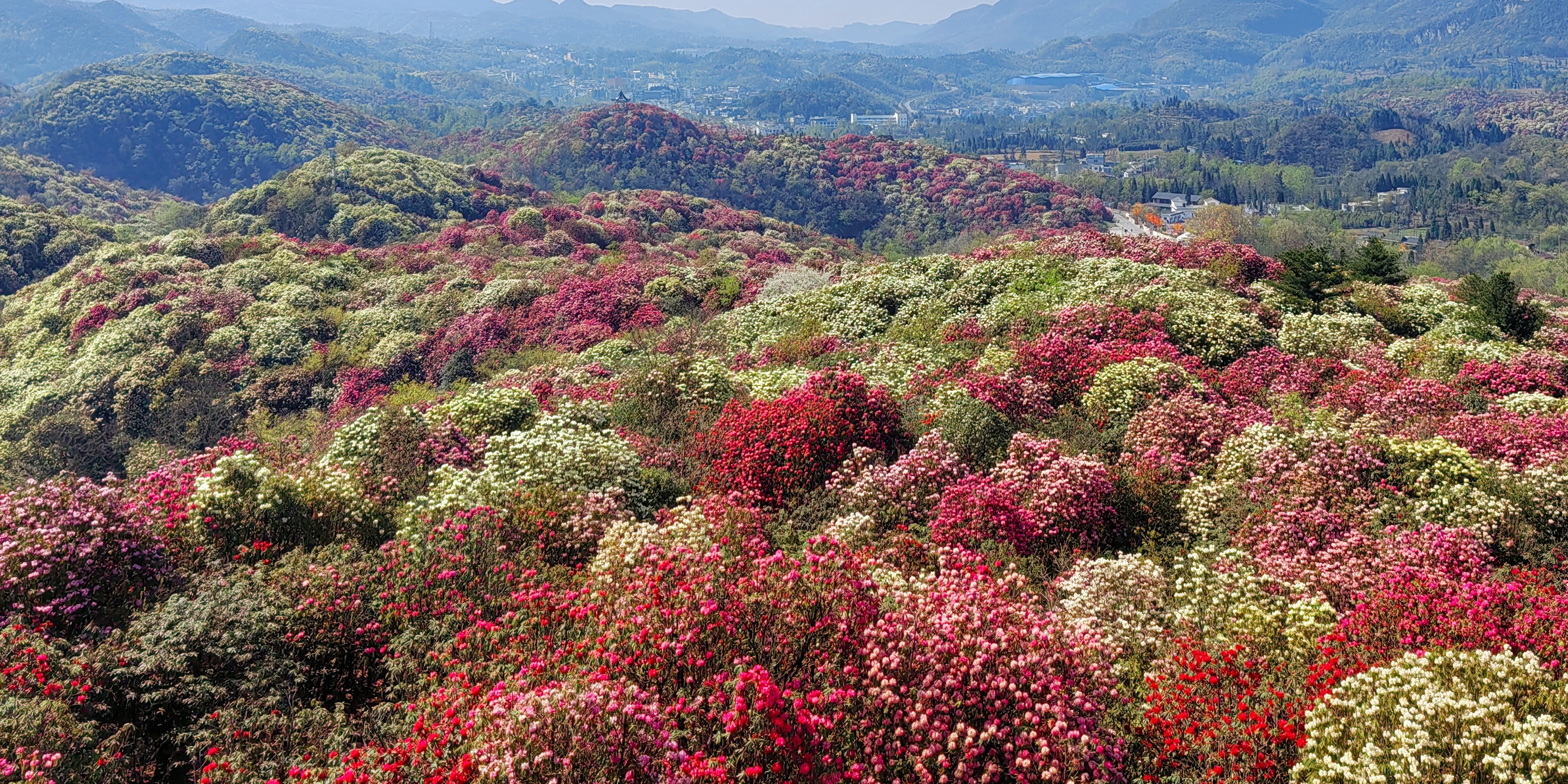 「乌蒙之春·花样毕节」系列报道之五