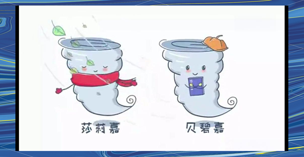 台风什么意思为什么叫台风为什么在线