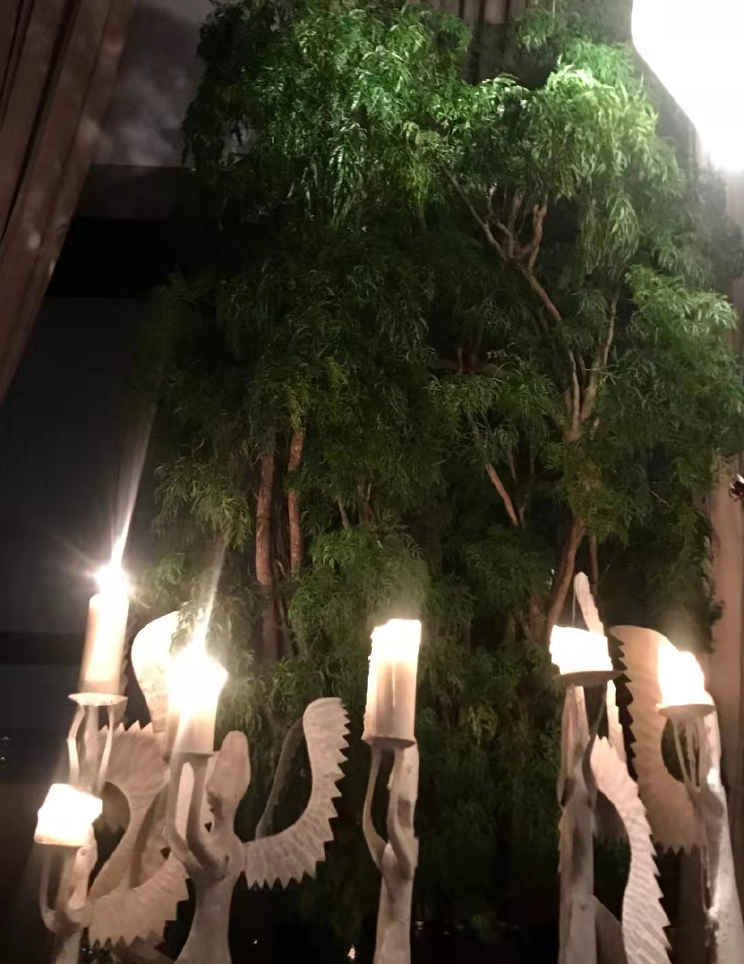 43岁殷桃住北京过亿豪宅,内部植物株株名贵,价值百万