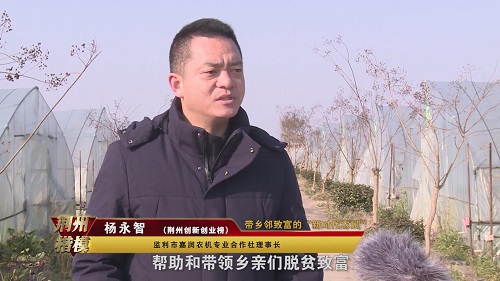 「荆州楷模」杨永智:带乡邻致富的"新时代农民"