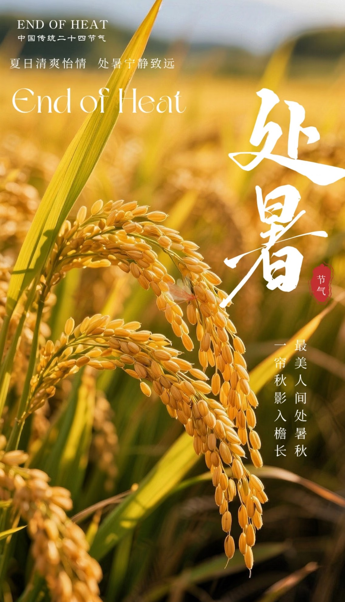 处暑:从夏末到初秋的自然与丰收之美