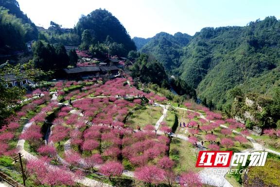 永顺陈家坡图片