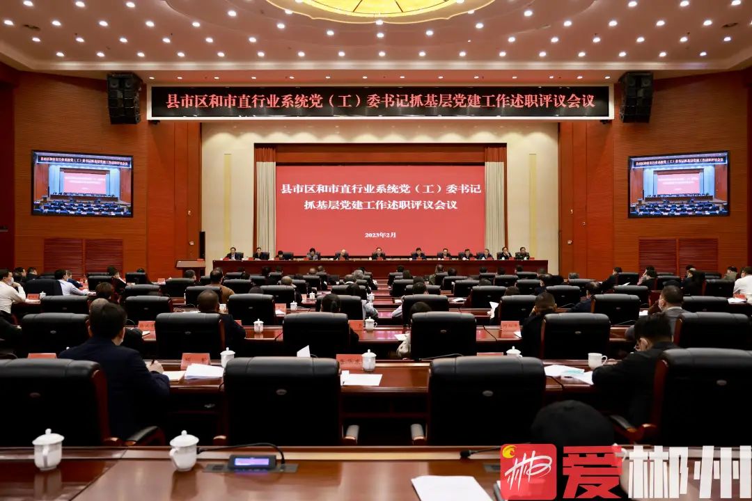 推动基层党组织全面进步全面过硬 为建设现代化新郴州提供坚强组织