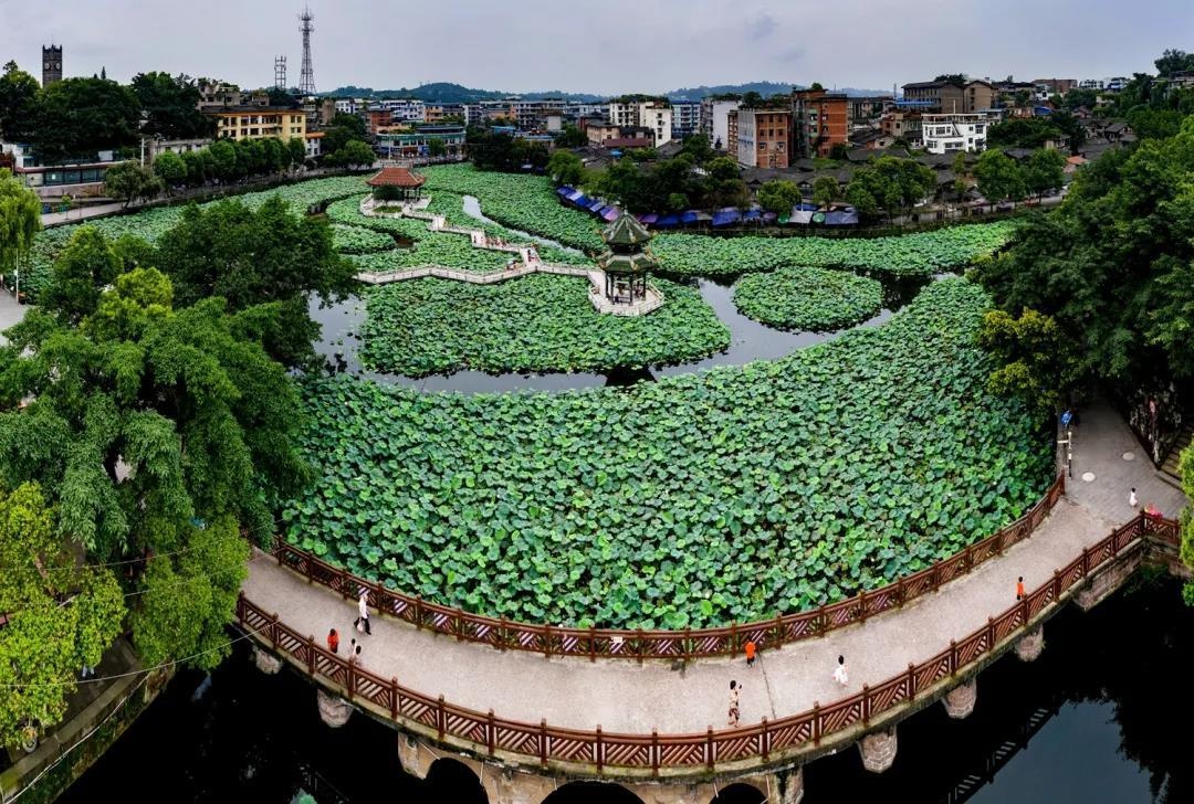 年味浓郁!富顺文庙·西湖景区成寻"味"目的地