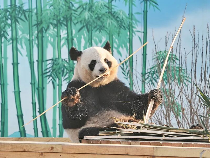 微信图片_20260204202728_6451_11 图片