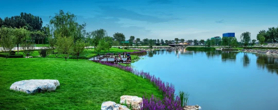 河畔生活 鱼跃锦棠|石家庄孔雀城