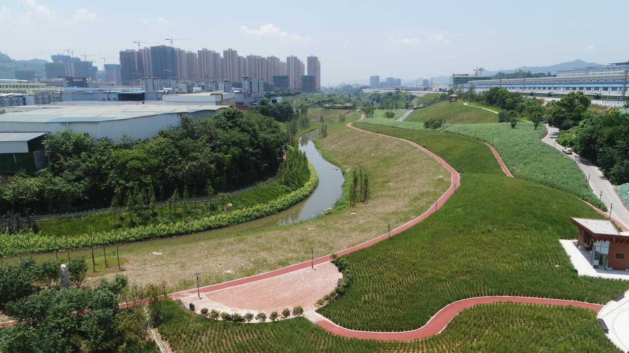 重庆九龙坡:水清岸绿跳蹬河