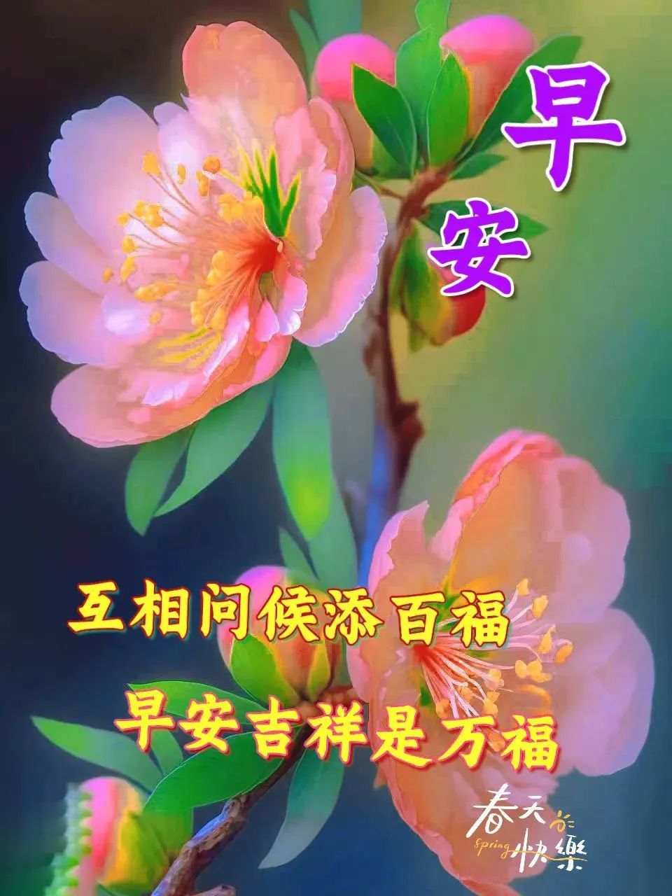 6月3日周六早上好,清晨温馨唯美祝福图片