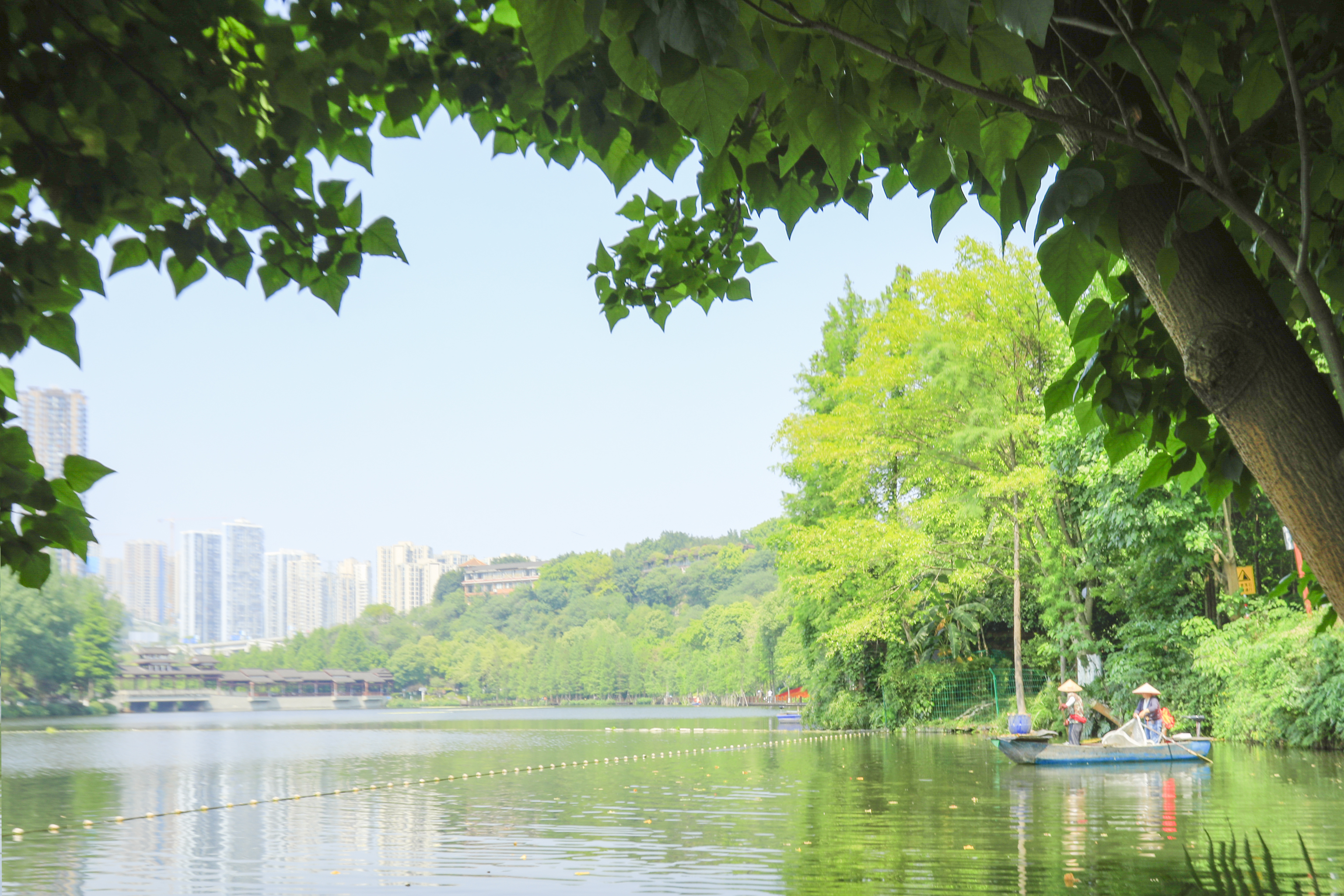 彩云湖国家湿地公园图片