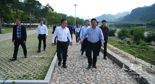董庆华到沙头岩头枫林专题调研"美丽滩林"
