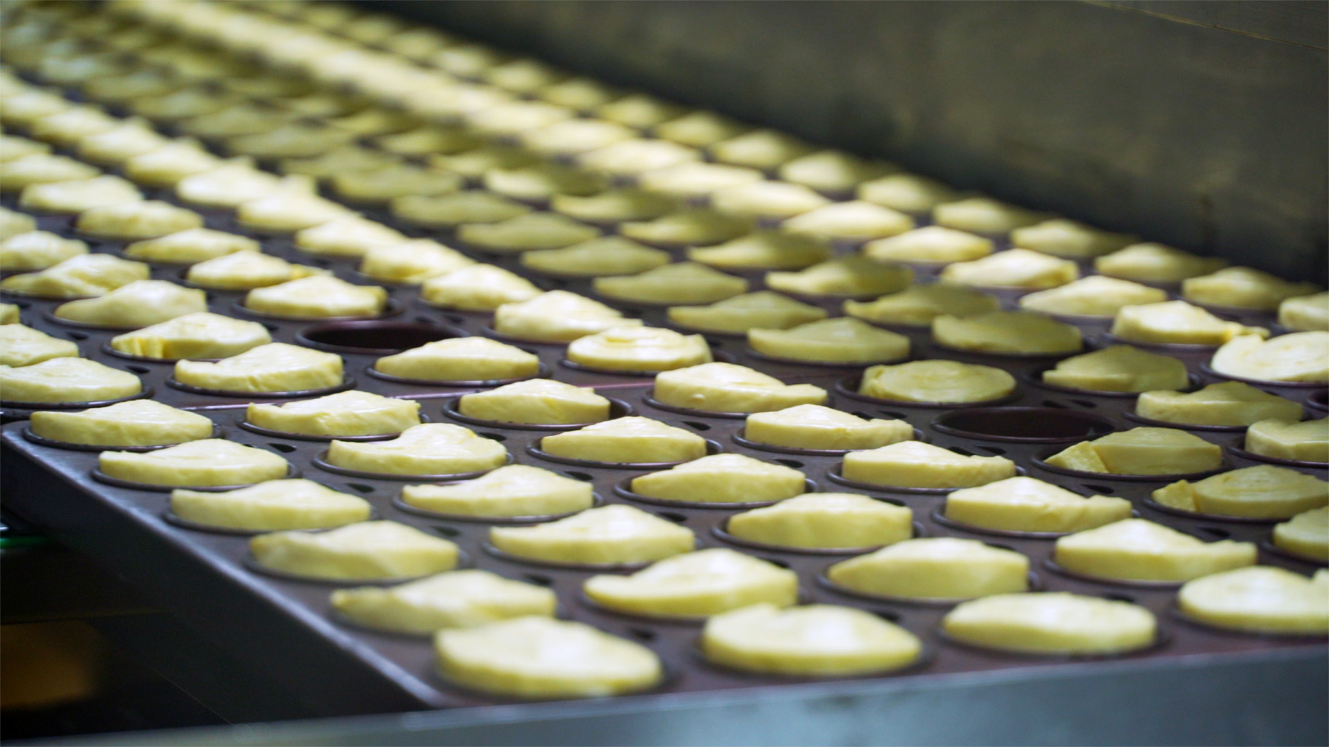 高新区·巴比熊高端休闲食品及功能性食品研发生产项目:销售覆盖1000