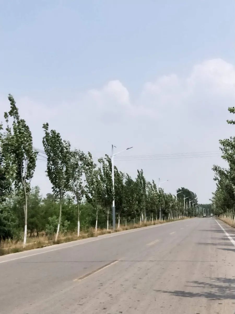 乡村振兴:河间市各乡镇推进亮化工程
