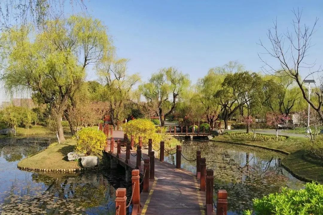 面积增加近50%!闵行这座公园今年将启动改扩建,意向效果图抢先看