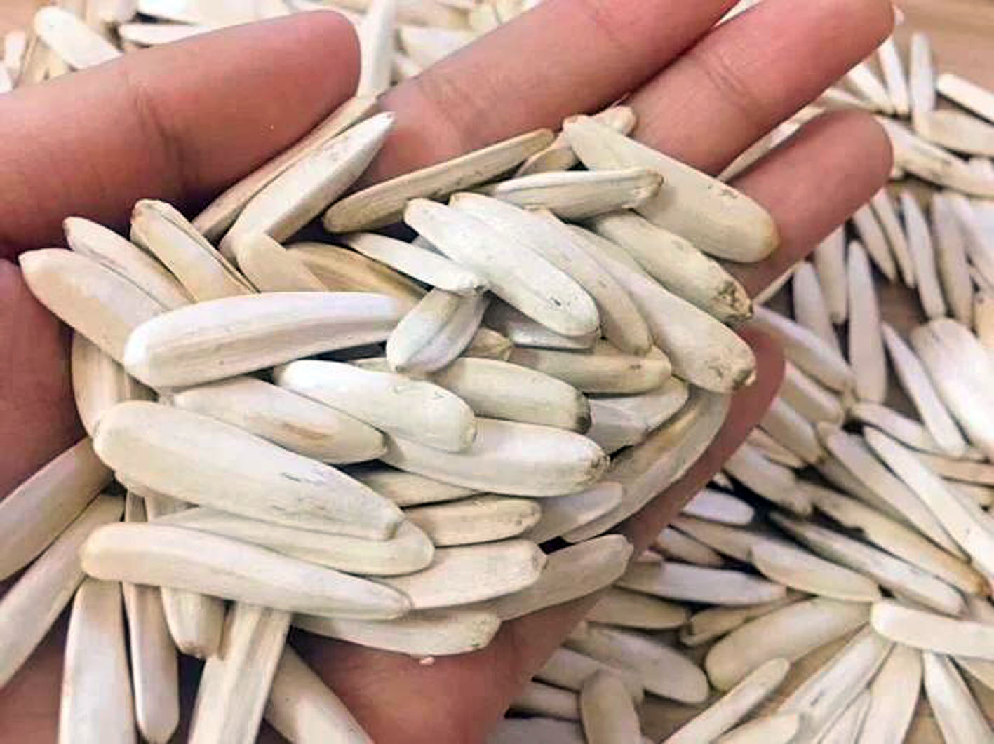 瓜子- 热门商品专区