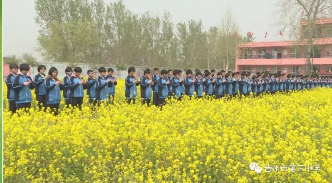 快来欣赏吧!晋州市第三中学举办第四届(网络)油菜花节