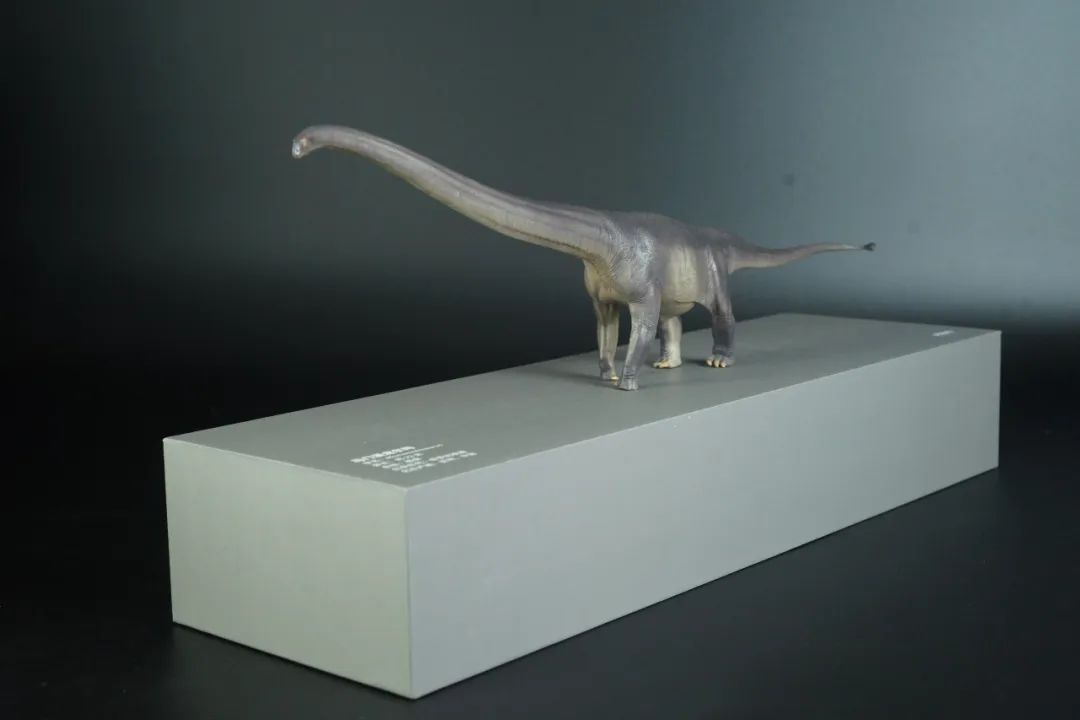 pnso博物馆系列新老马门溪龙