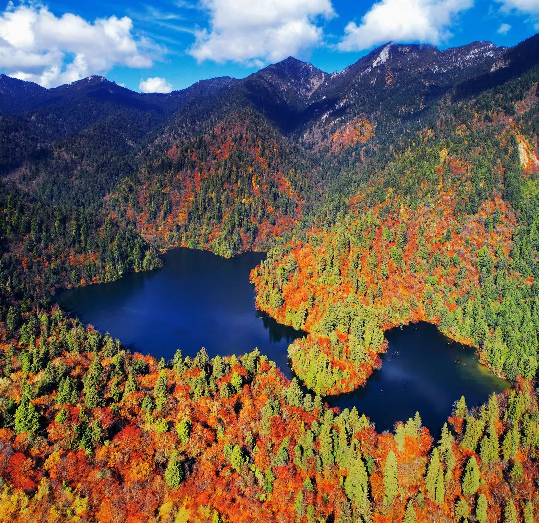 趣游四川|阿坝到底有多美?