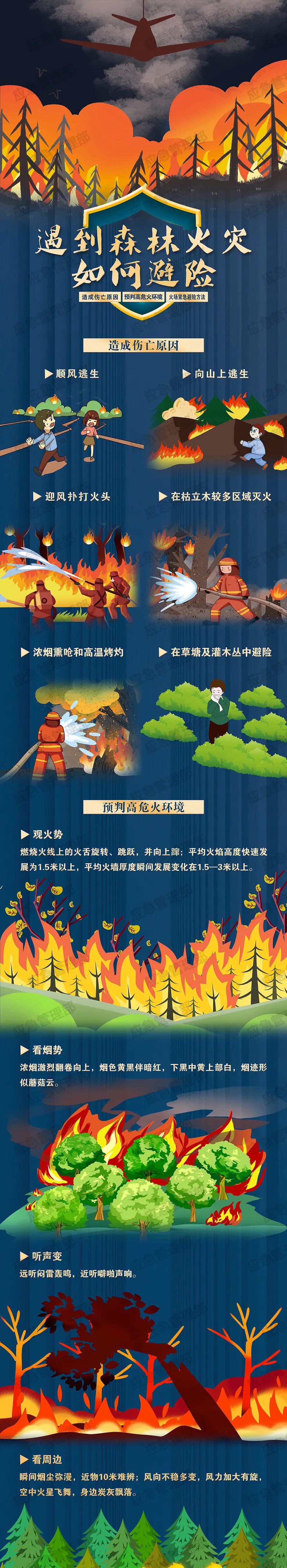 「森林防火宣传月」图说:遇到森林火灾如何避险?