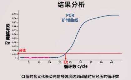 荧光定量pcr(qpcr)中的ct值具体解析