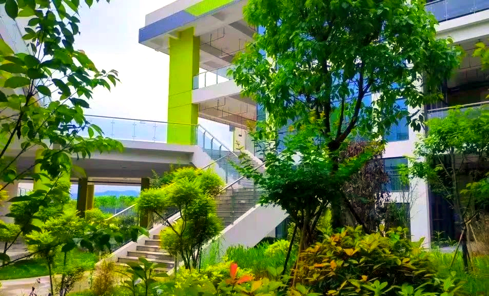 福建中华技师学院:培养技能人才的摇篮与社会贡献