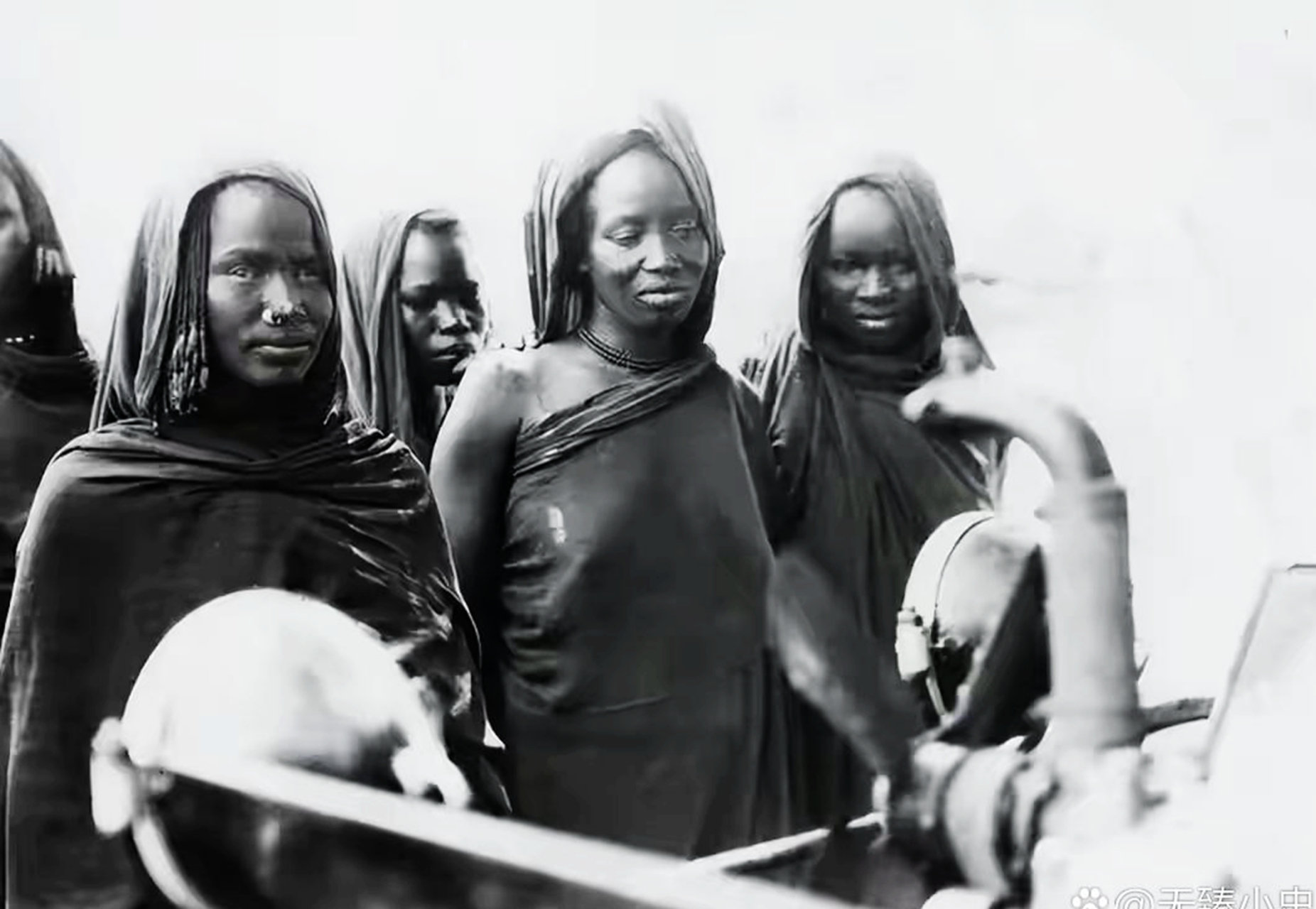 弗雷德里克的母亲是名叫哈利艾特的非洲裔奴隶,但因为她的美貌,被他的