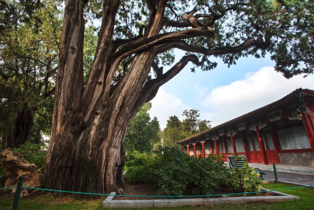 _DSC5383_看图王.jpg 图片